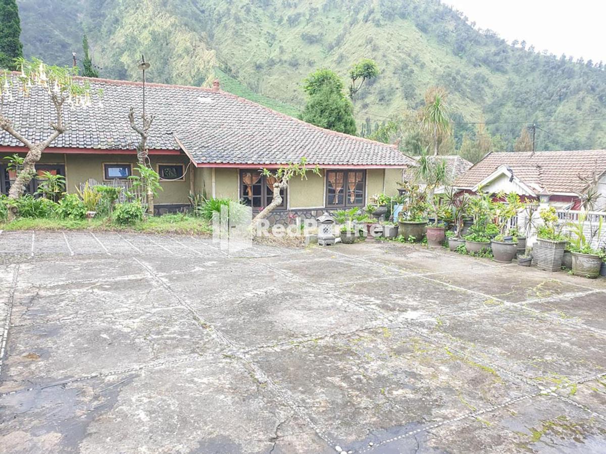 Hotel Yoschi'S Bromo At Desa Wisata Bromo Ngadisari Luaran gambar