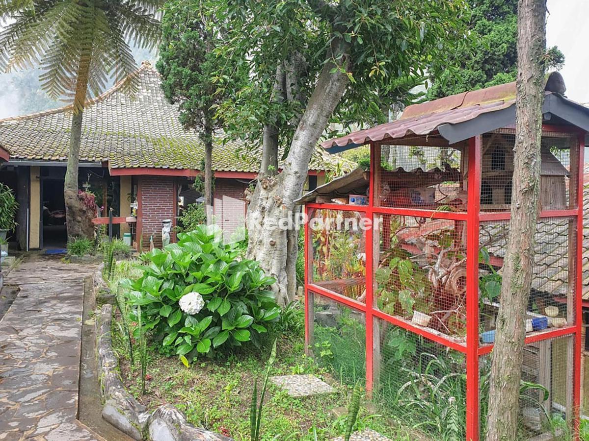 Hotel Yoschi'S Bromo At Desa Wisata Bromo Ngadisari Luaran gambar